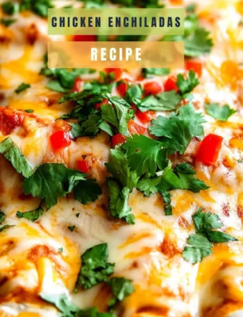 trader joe's chicken enchiladas recipe