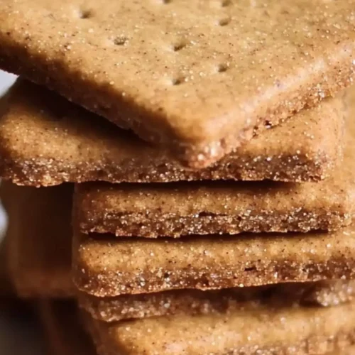 trader joe's cinnamon graham crackers copycat recipe